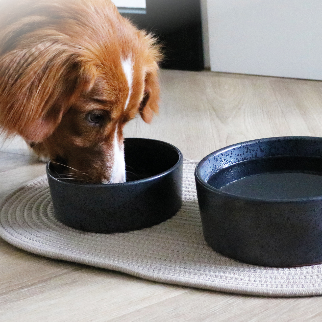 D&D home: new arrivals in de kijker !