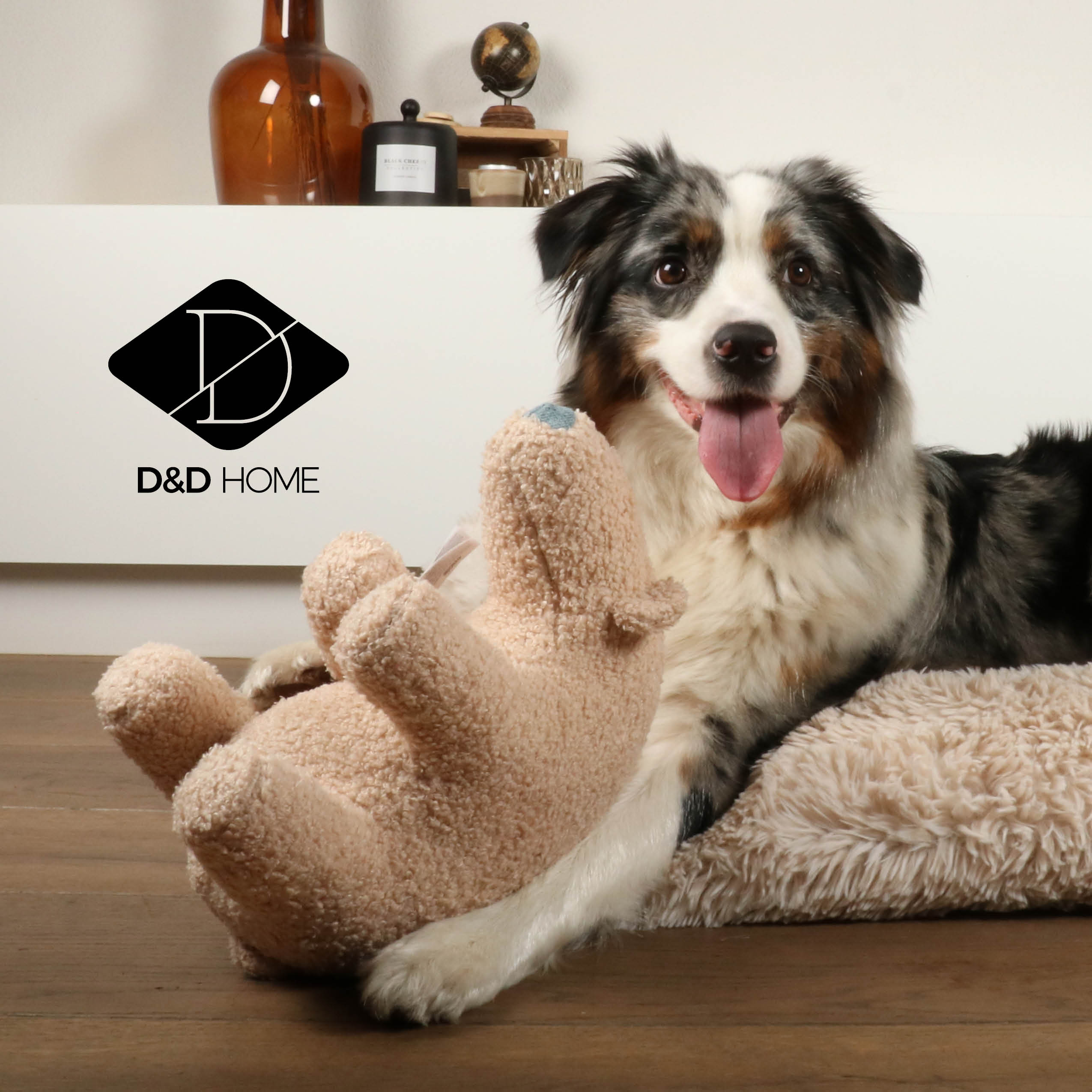 Nieuwe D&D home knuffels